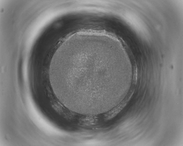 X0000087570383200705112219