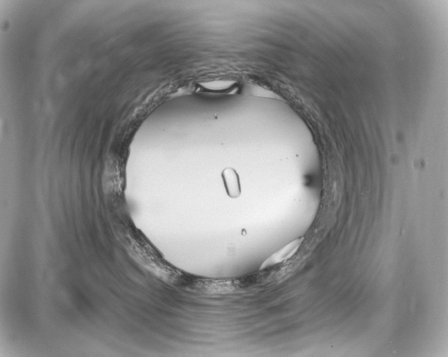 X0000087570384200705112219