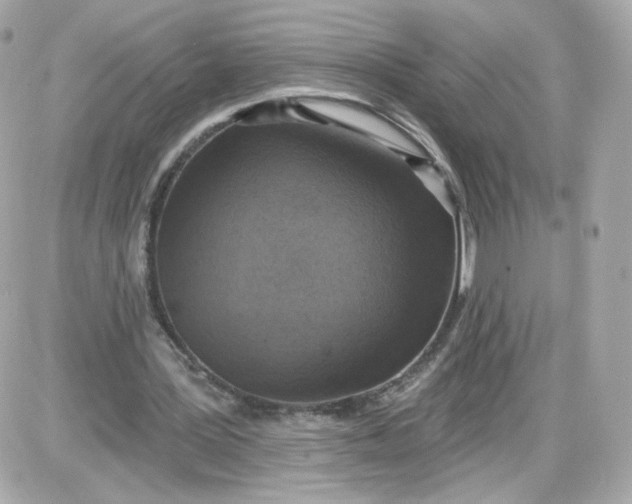 X0000087570387200705112218