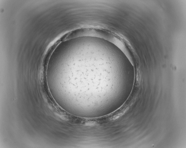 X0000087570388200705112218