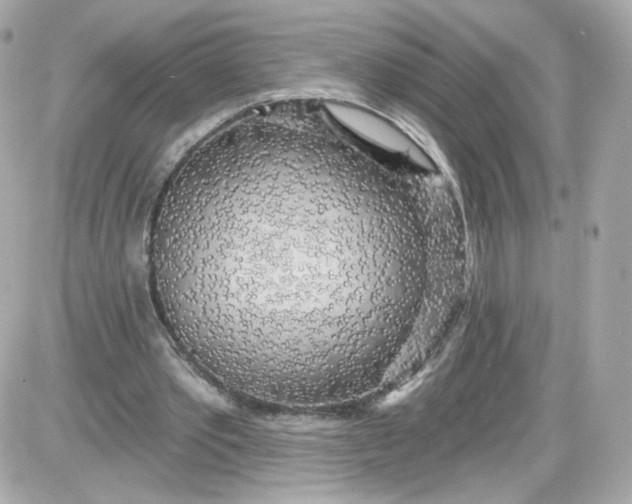 X0000087570389200705112218