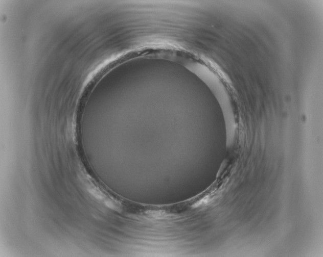 X0000087570391200705112218