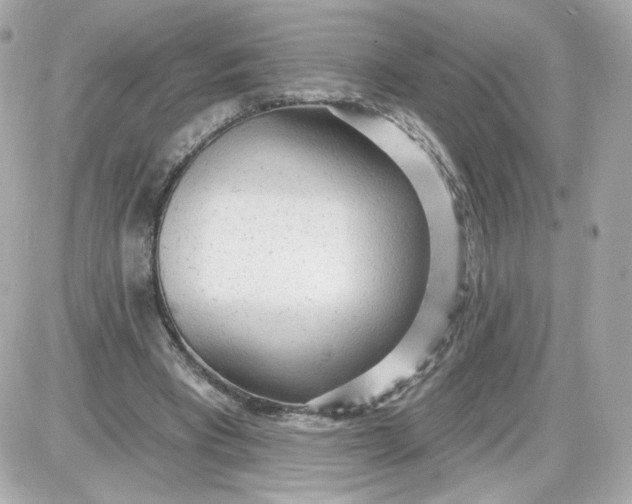 X0000087570393200705112218