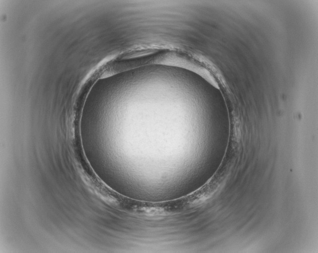 X0000087570395200705112218