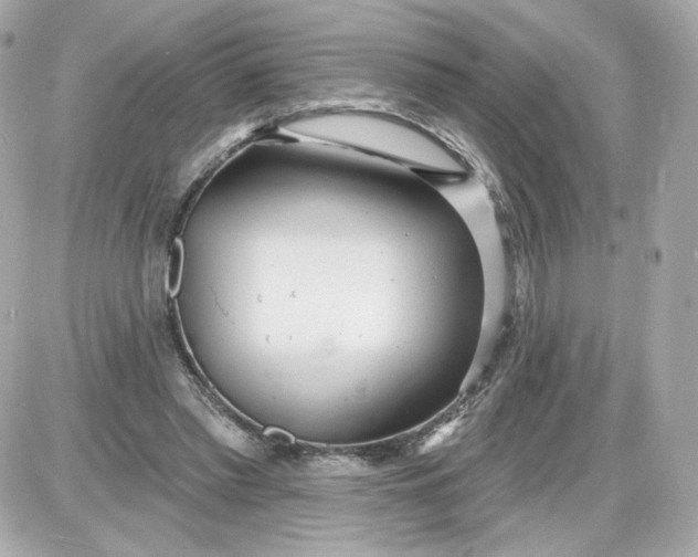 X0000087570397200705112218