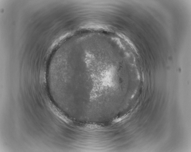 X0000087570399200705112218