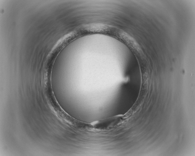 X0000087570400200705112218