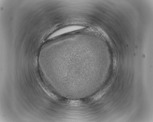 X0000087570401200705112218