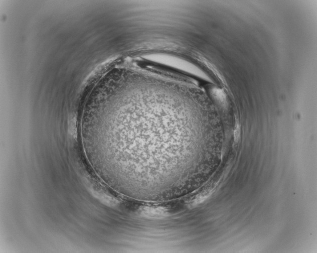 X0000087570403200705112218