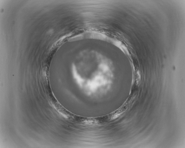 X0000087570415200705112217