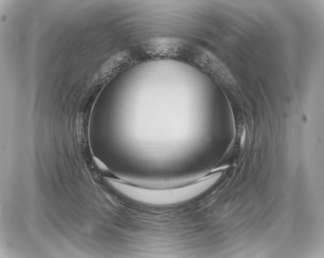 X0000087570416200705112217