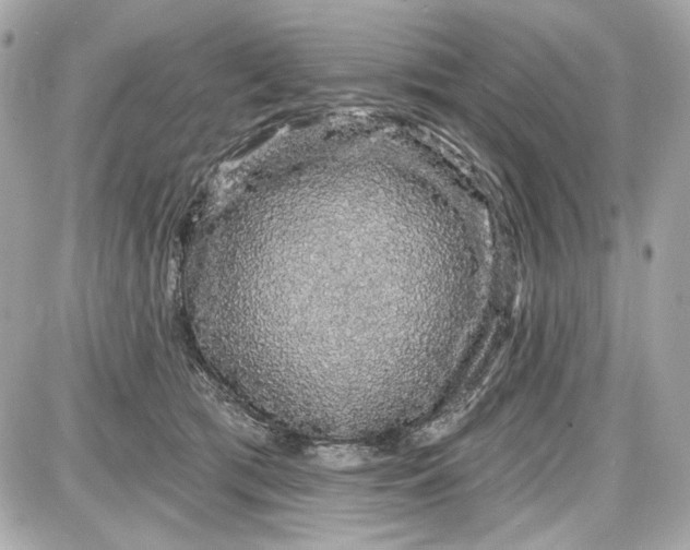 X0000087570417200705112217