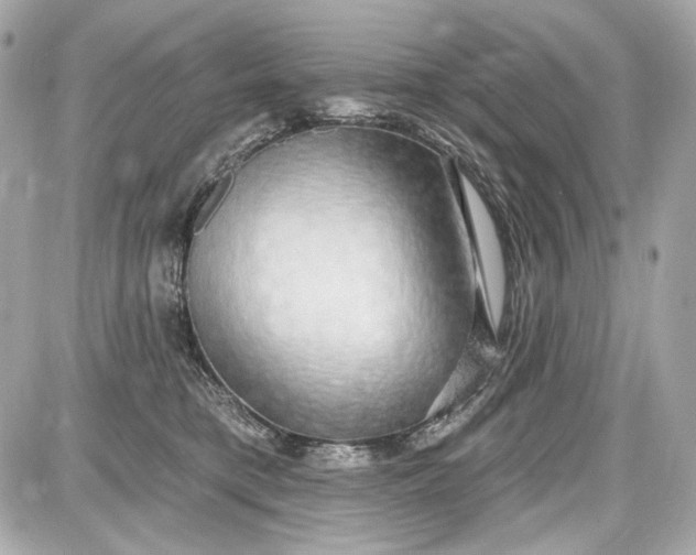 X0000087570421200705112217