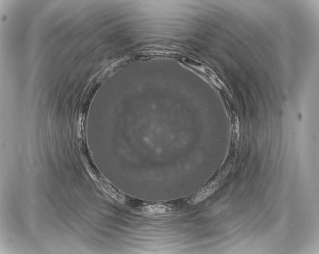 X0000087570423200705112217