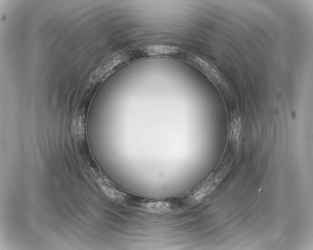 X0000087570426200705112217