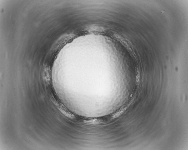 X0000087570430200705112217