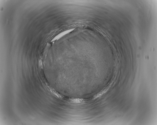X0000087570432200705112217