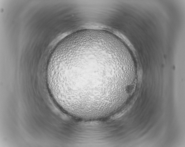 X0000087570433200705112216