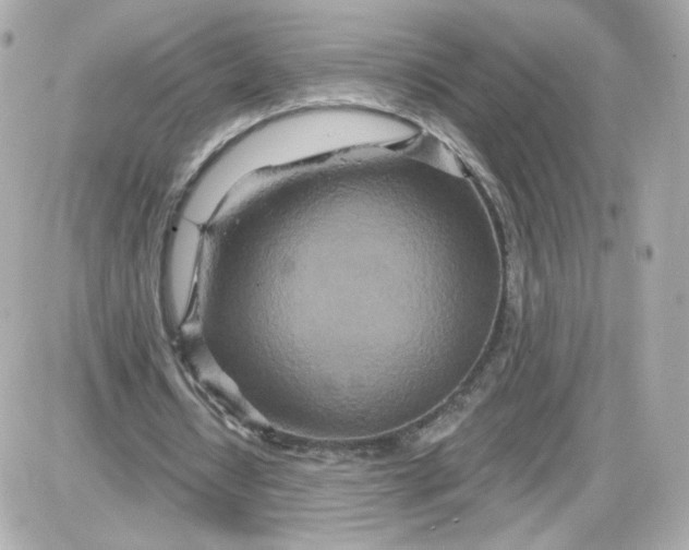 X0000087570434200705112216