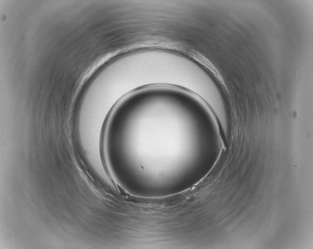 X0000087570436200705112216