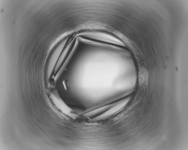 X0000087570438200705112216