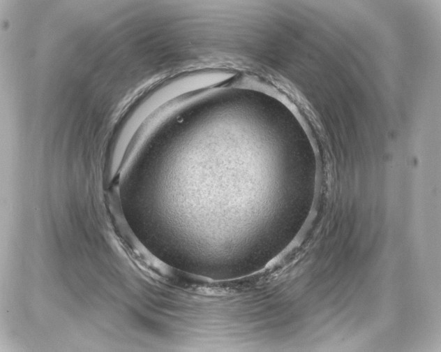 X0000087570442200705112216