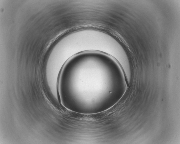 X0000087570444200705112216