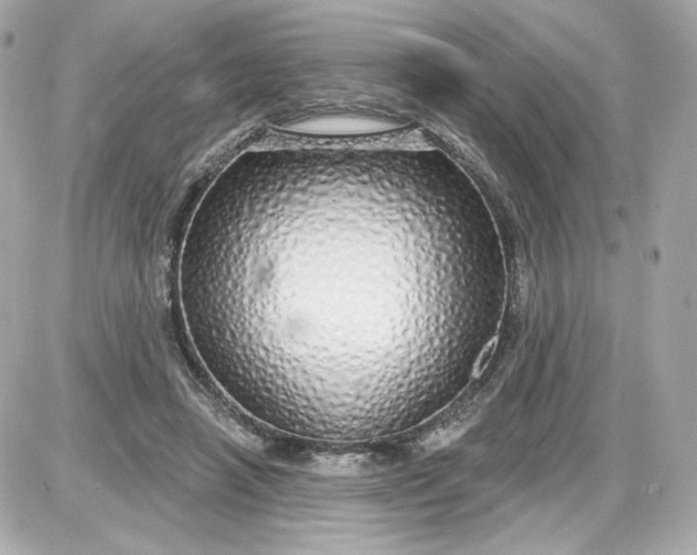 X0000087570450200705112217