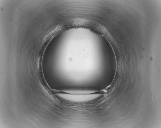 X0000087570454200705112217