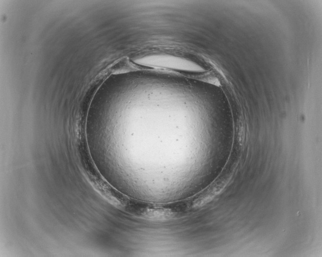 X0000087570455200705112217