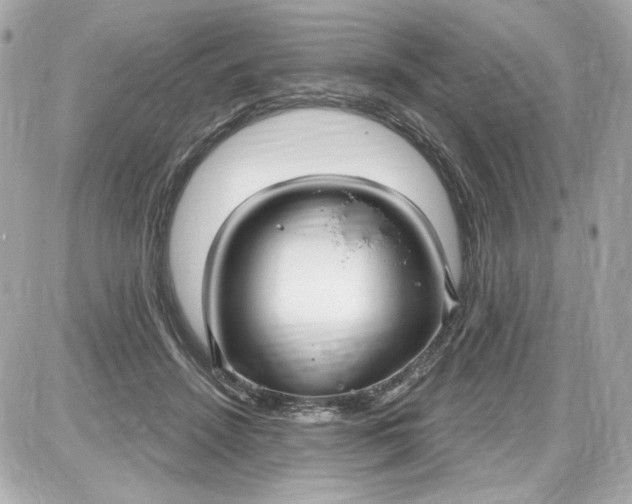 X0000087570456200705112217