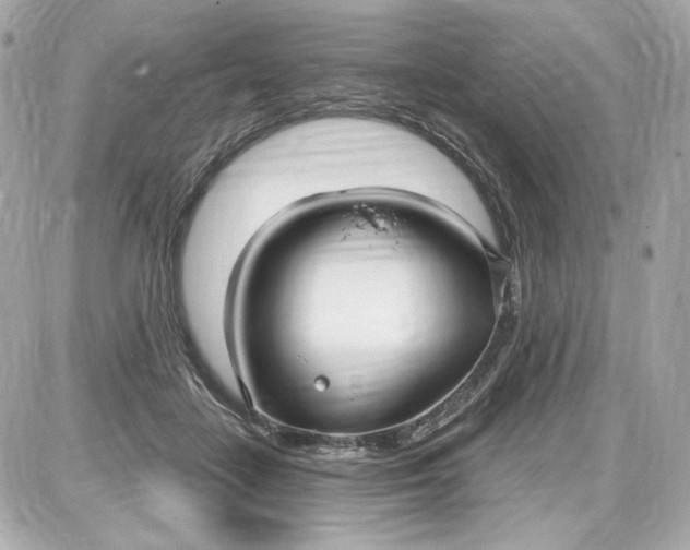 X0000087570458200705112217