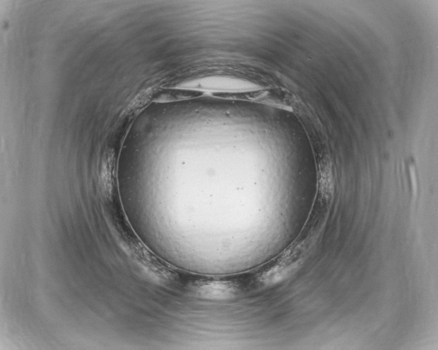 X0000087570460200705112217