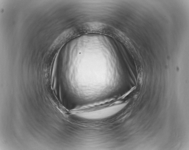 X0000087570462200705112217