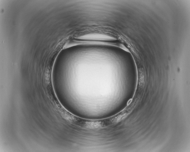 X0000087570469200705112217