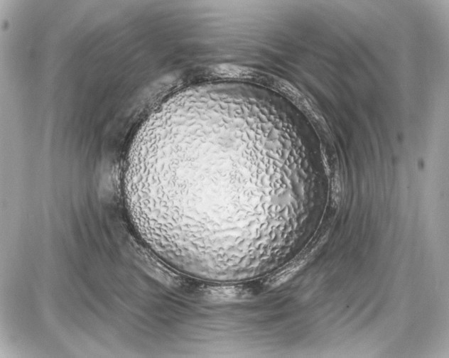 X0000087570473200705112217