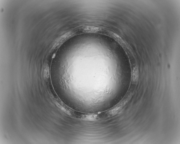 X0000087570474200705112217