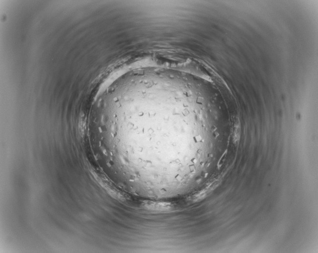 X0000087570476200705112217