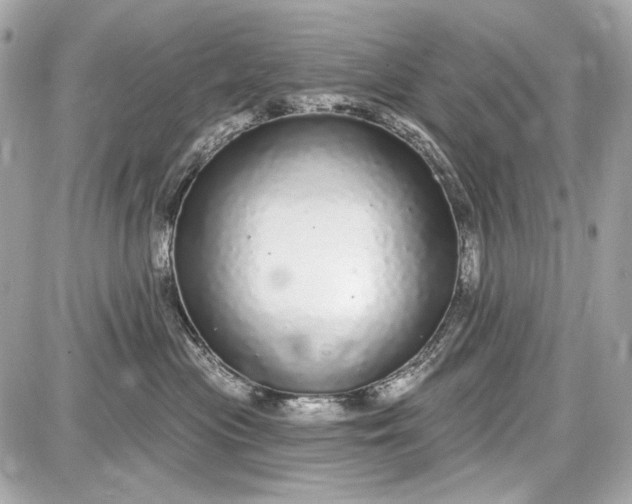X0000087570477200705112217