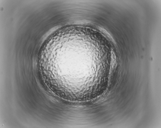 X0000087570483200705112216