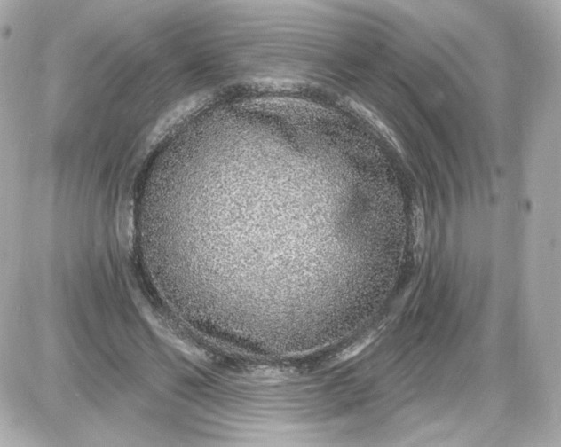 X0000087570494200705112216