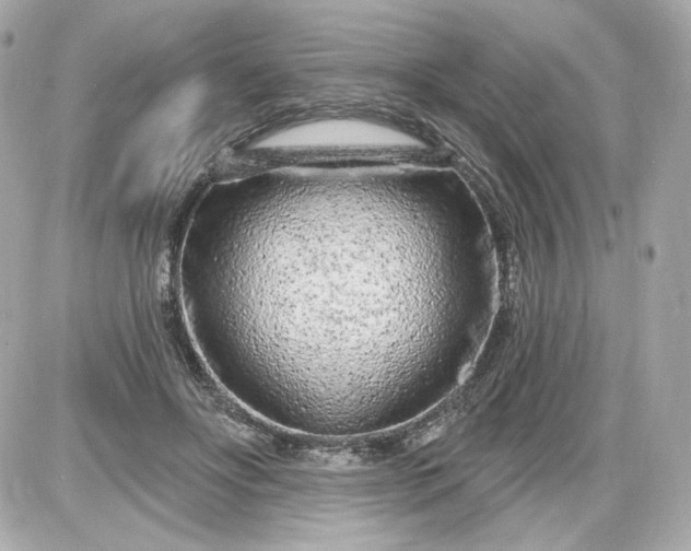 X0000087570502200705112216