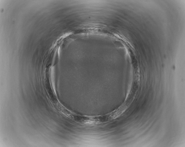 X0000087570504200705112216