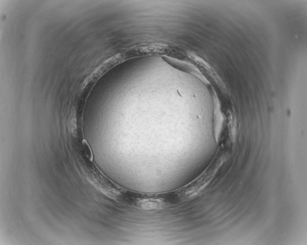 X0000087570508200705112216