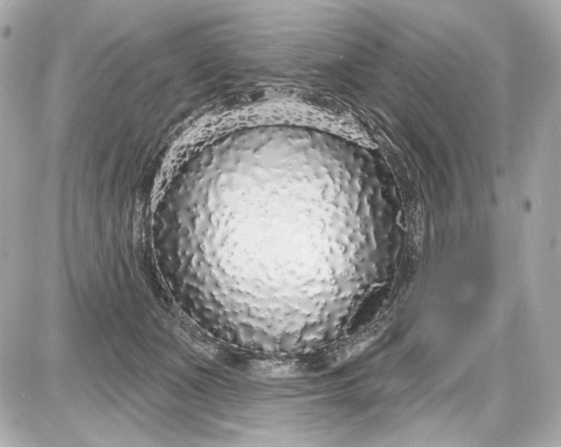 X0000087570511200705112216