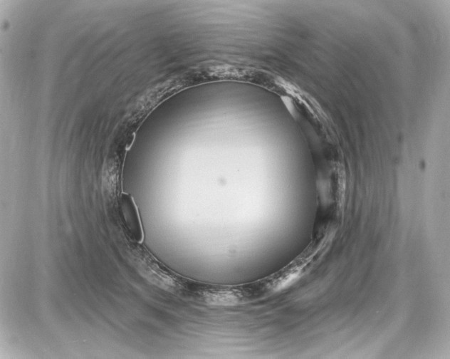 X0000087570513200705112216