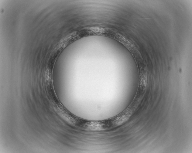 X0000087570518200705112216