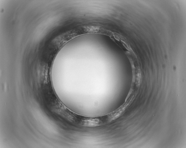 X0000087570525200705112216