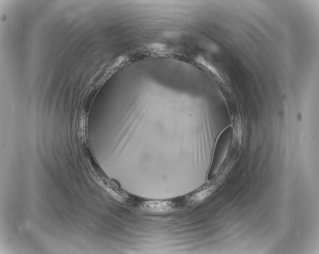 X0000087570526200705112215