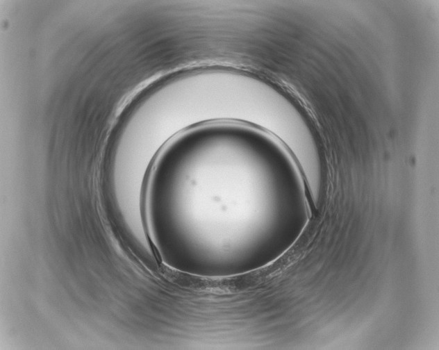 X0000087570536200705112215